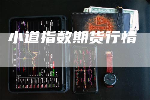 小道指数期货行情