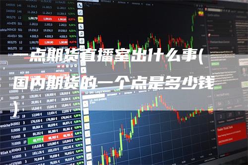 一点期货直播室出什么事(国内期货的一个点是多少钱)