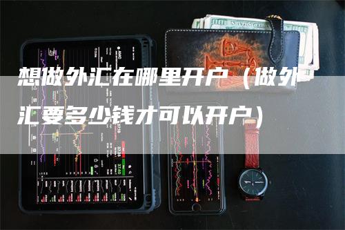 想做外汇在哪里开户（做外汇要多少钱才可以开户）