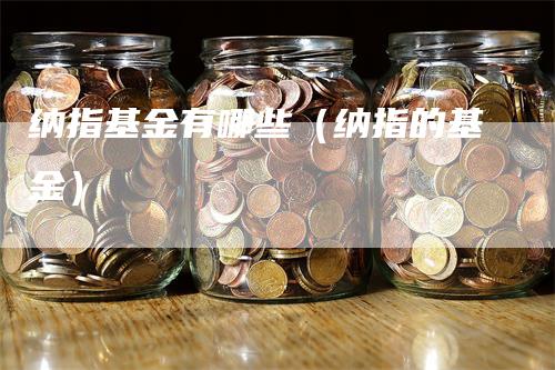 纳指基金有哪些（纳指的基金）