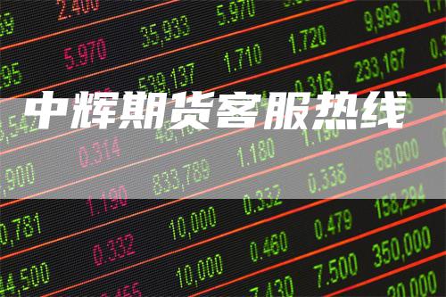 中辉期货客服热线
