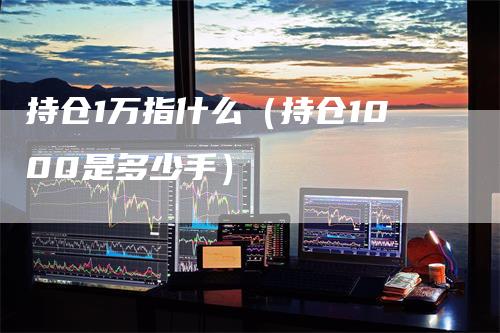 持仓1万指什么（持仓1000是多少手）