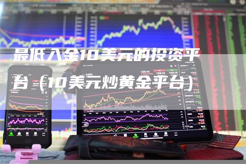 最低入金10美元的投资平台（10美元炒黄金平台）