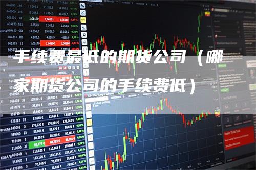 手续费最低的期货公司（哪家期货公司的手续费低）