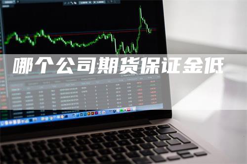 哪个公司期货保证金低