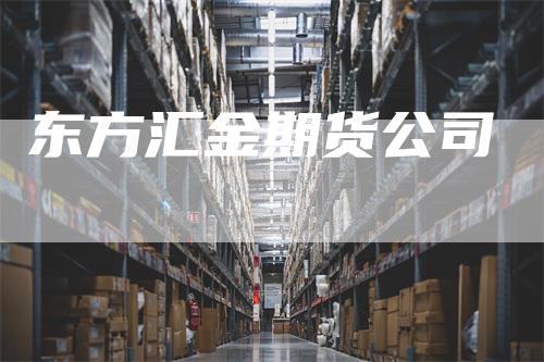 东方汇金期货公司