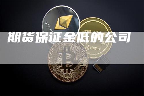 期货保证金低的公司