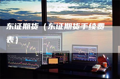 东证期货（东证期货手续费表）