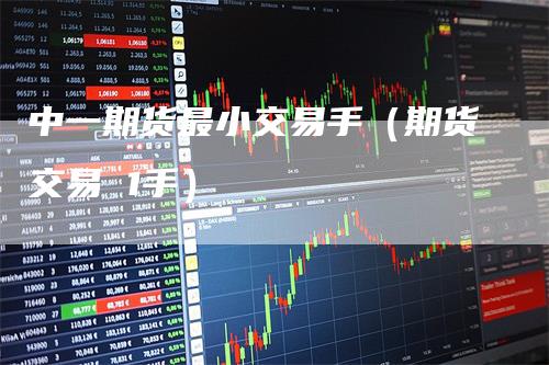 中一期货最小交易手（期货交易 1手）