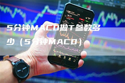 5分钟MACD做T参数多少（5分钟MACD）