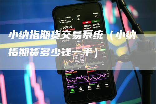 小纳指期货交易系统（小纳指期货多少钱一手）