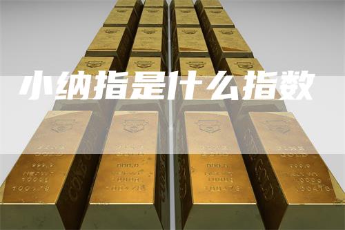小纳指是什么指数