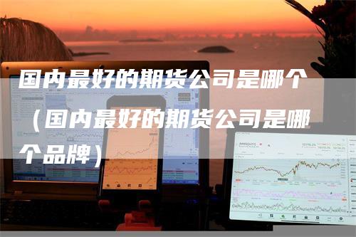 国内最好的期货公司是哪个（国内最好的期货公司是哪个品牌）