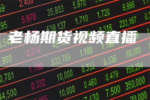 老杨期货视频直播