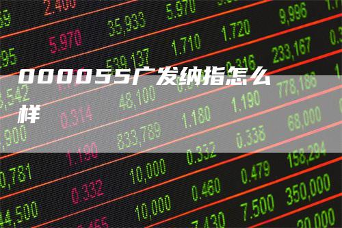 000055广发纳指怎么样