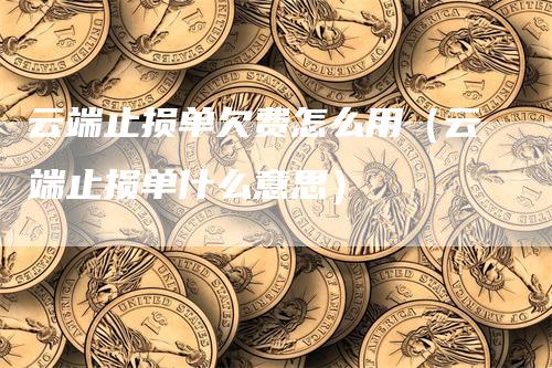 云端止损单欠费怎么用（云端止损单什么意思）