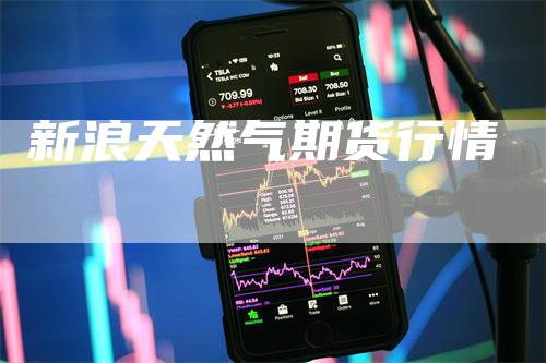 新浪天然气期货行情