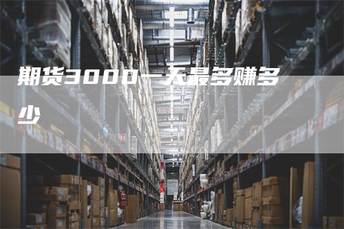 期货3000一天最多赚多少