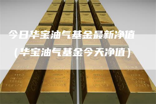 今日华宝油气基金最新净值（华宝油气基金今天净值）
