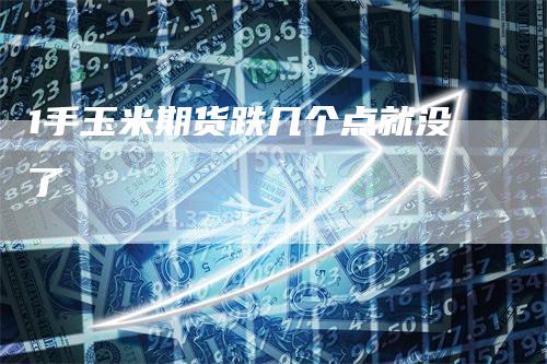 1手玉米期货跌几个点就没了
