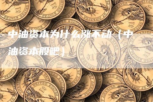 中油资本为什么涨不动（中油资本股吧）
