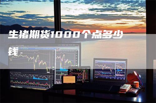 生猪期货1000个点多少钱