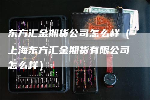 东方汇金期货公司怎么样（上海东方汇金期货有限公司怎么样）