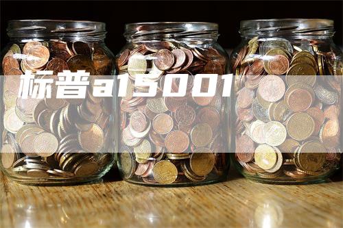 标普a15001