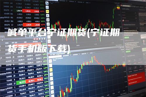 喊单平台宁证期货(宁证期货手机版下载)