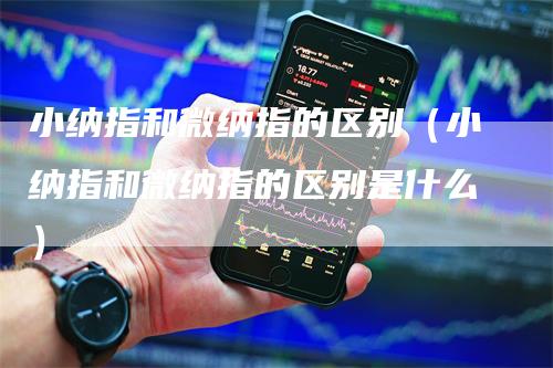 小纳指和微纳指的区别（小纳指和微纳指的区别是什么）