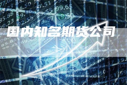 国内知名期货公司