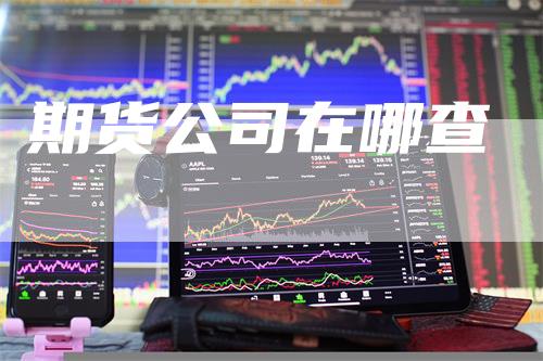 期货公司在哪查