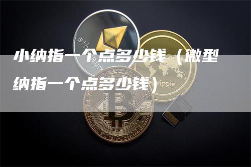 小纳指一个点多少钱（微型纳指一个点多少钱）