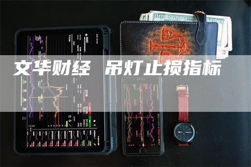 文华财经 吊灯止损指标