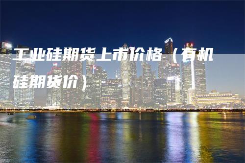 工业硅期货上市价格(有机硅期货价)