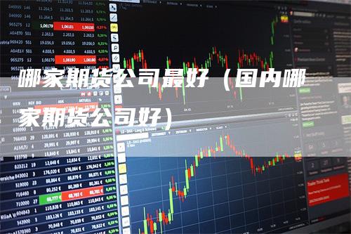 哪家期货公司最好(国内哪家期货公司好)
