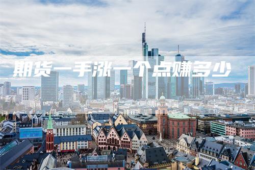 期货一手涨一个点赚多少
