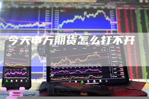 今天申万期货怎么打不开