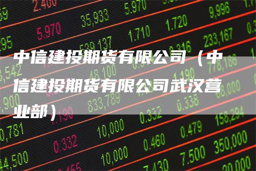 中信建投期货有限公司（中信建投期货有限公司武汉营业部）