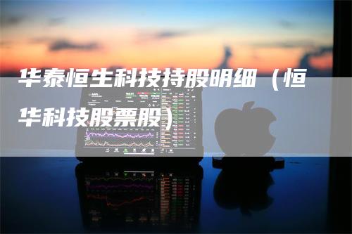 华泰恒生科技持股明细（恒华科技股票股）