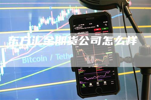 东方汇金期货公司怎么样