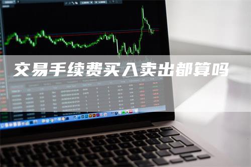 交易手续费买入卖出都算吗