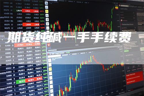 期货纯碱一手手续费