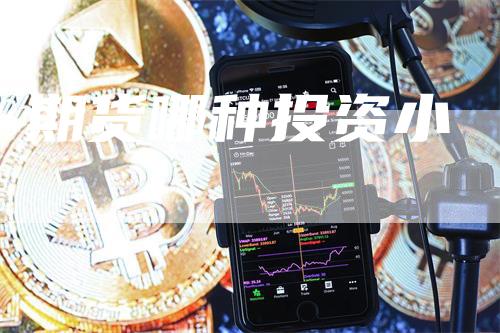 期货哪种投资小