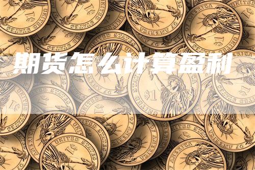 期货怎么计算盈利