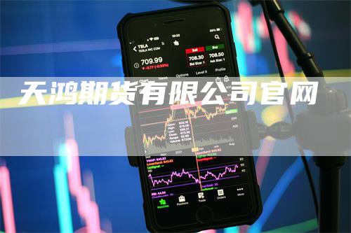 天鸿期货有限公司官网