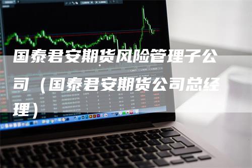国泰君安期货风险管理子公司（国泰君安期货公司总经理）