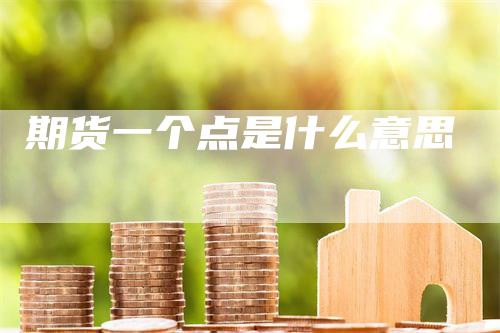 期货一个点是什么意思