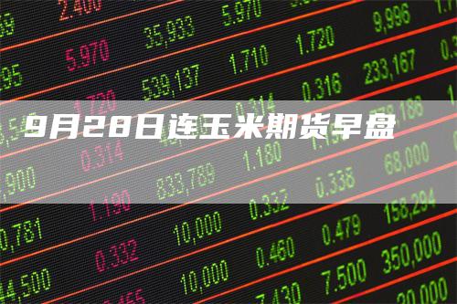 9月28日连玉米期货早盘