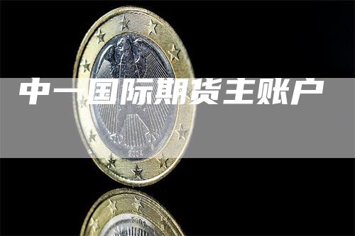 中一国际期货主账户